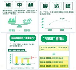 什么是碳達峰、碳中和？碳達峰與碳中和發(fā)展路徑下的電力系統(tǒng)規(guī)劃、運行與控制